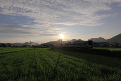 夏の西陽をあびる