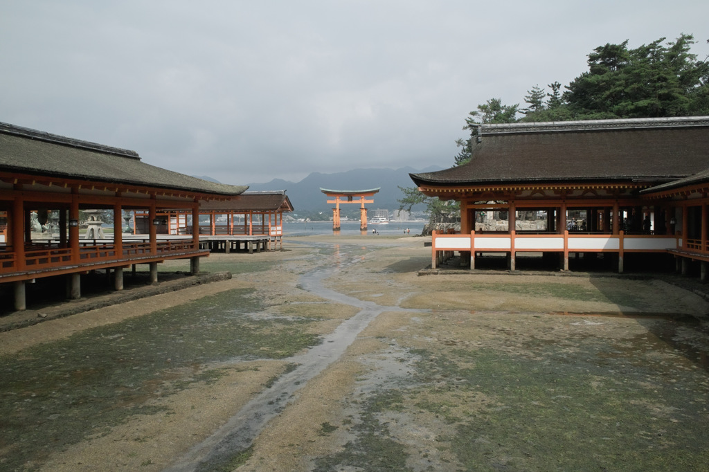 陸続き