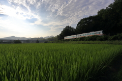 雨上がりの空を走る