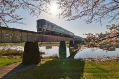 桜の刻を渡るⅠ