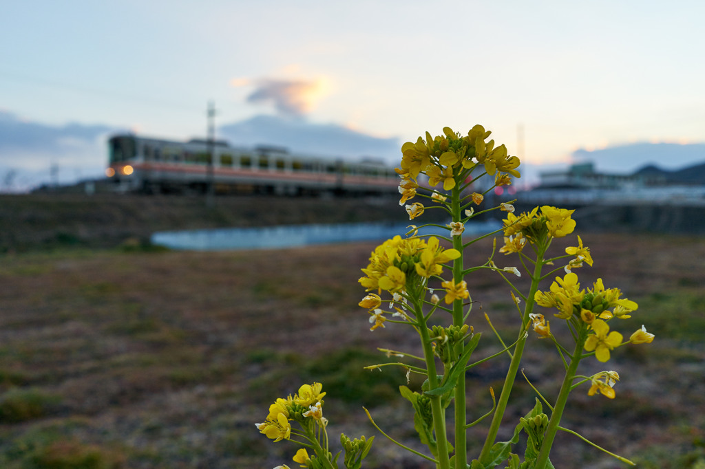 春待ちの時を走る