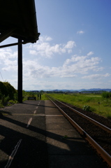 梅雨の晴れ間を見上げて