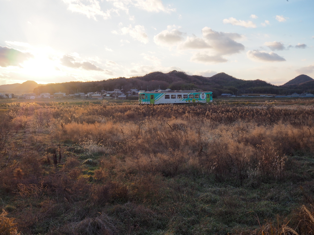 冬至の陽をあびて