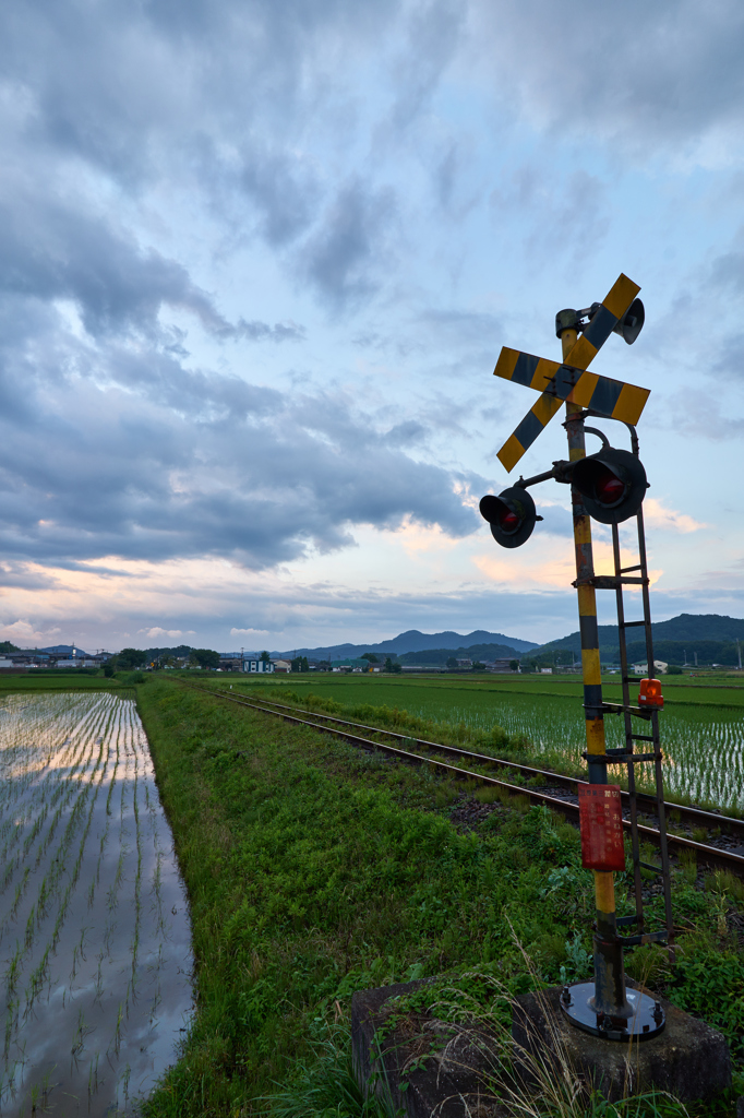 雨上がりの空を見上げて