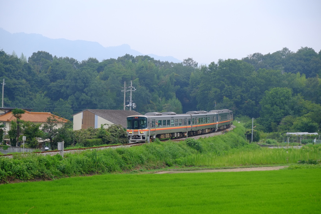 看板列車がいく