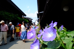 夏の高山の昼下がり