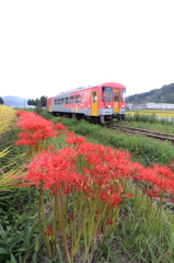 彼岸花の刻をいく