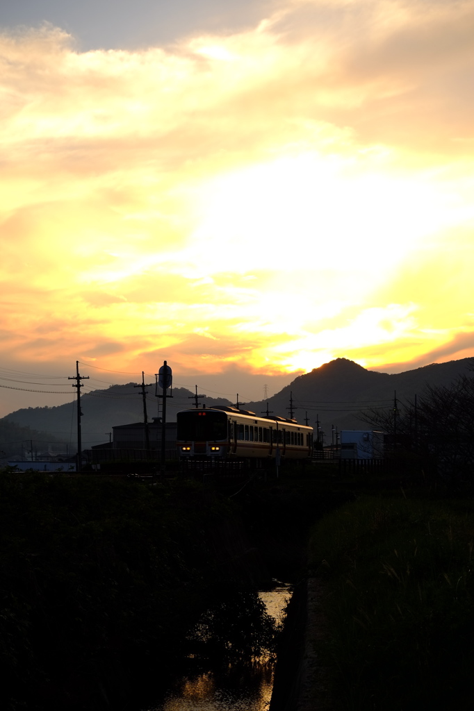 秋の夕陽をあびて