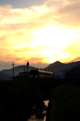 秋の夕陽をあびて