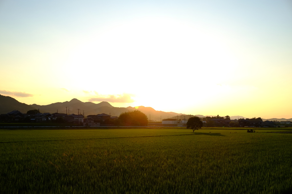 晩夏の夕暮れ