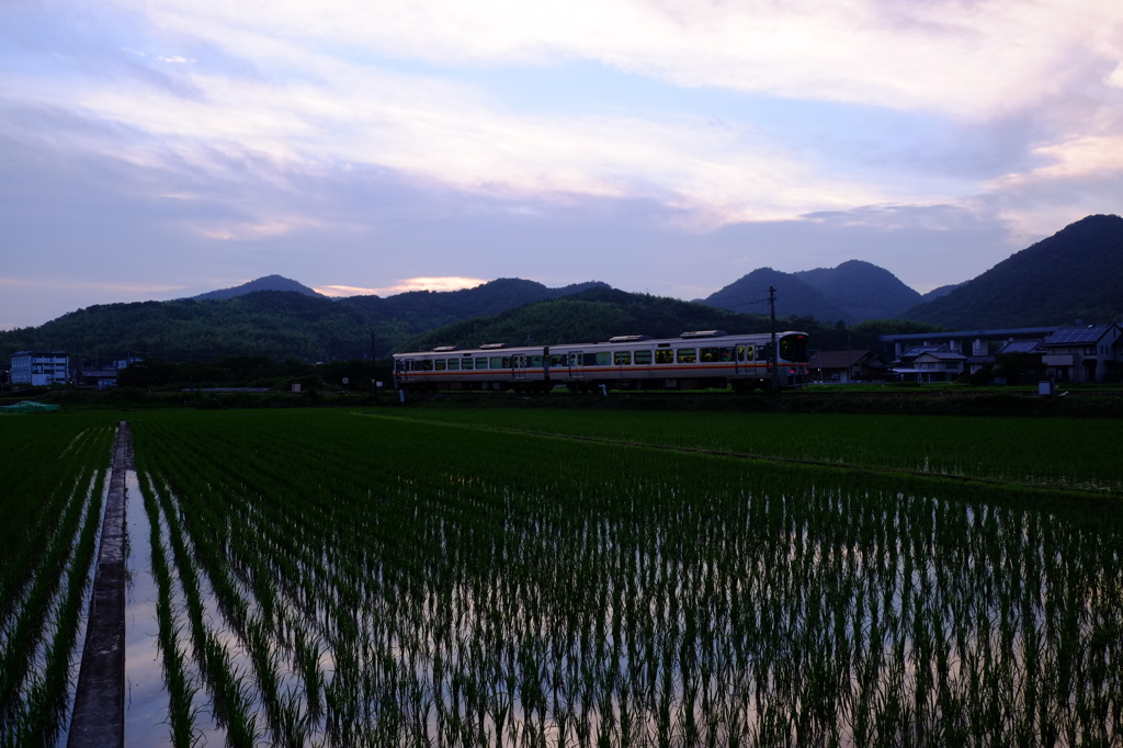 長雨明けの空をゆく