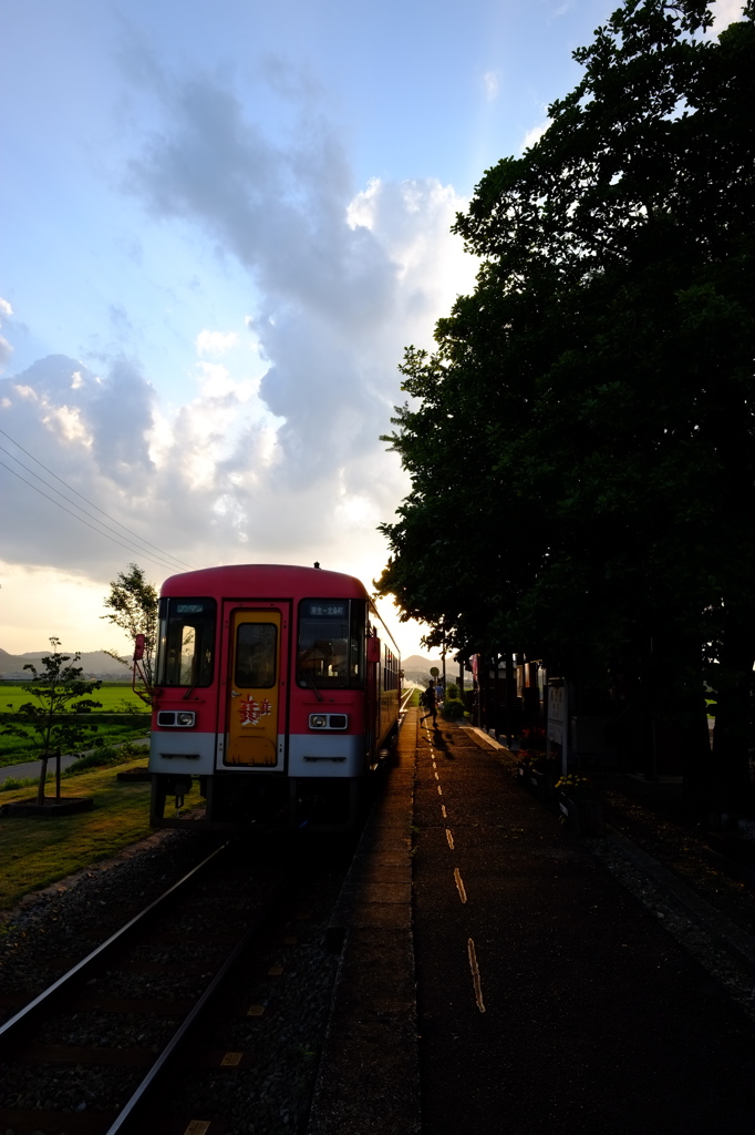 おかえりっ
