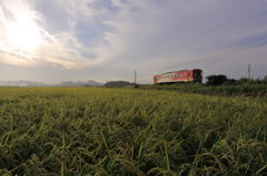 晩夏の陽が傾くころ