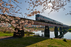 桜の刻を渡るⅡ