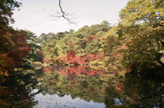 長谷池の秋