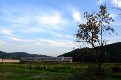 実りのときをいく