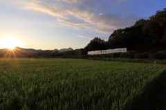 晩夏の暮れを行く