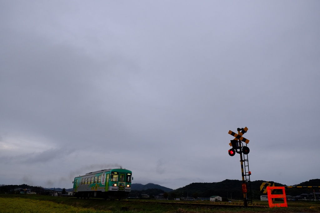 雨上がりの暮れ時を走る