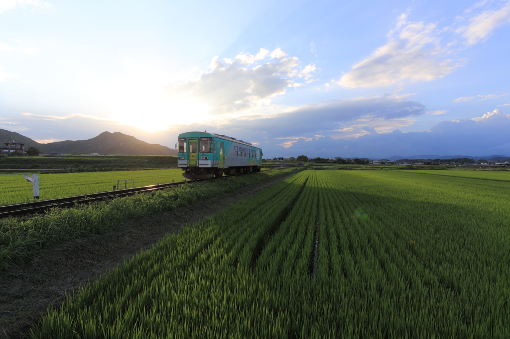 晩夏の夕刻を走る