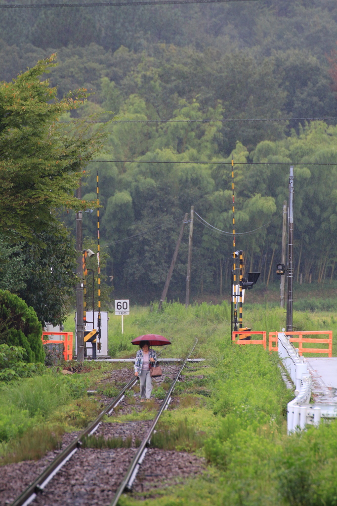 推定車齢７０年がゆく