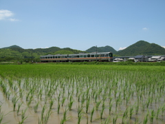 梅雨晴れをいく