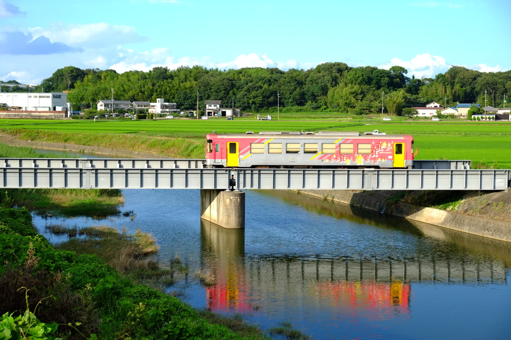 盛夏をわたる