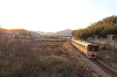 春待ちの夕陽を浴びて