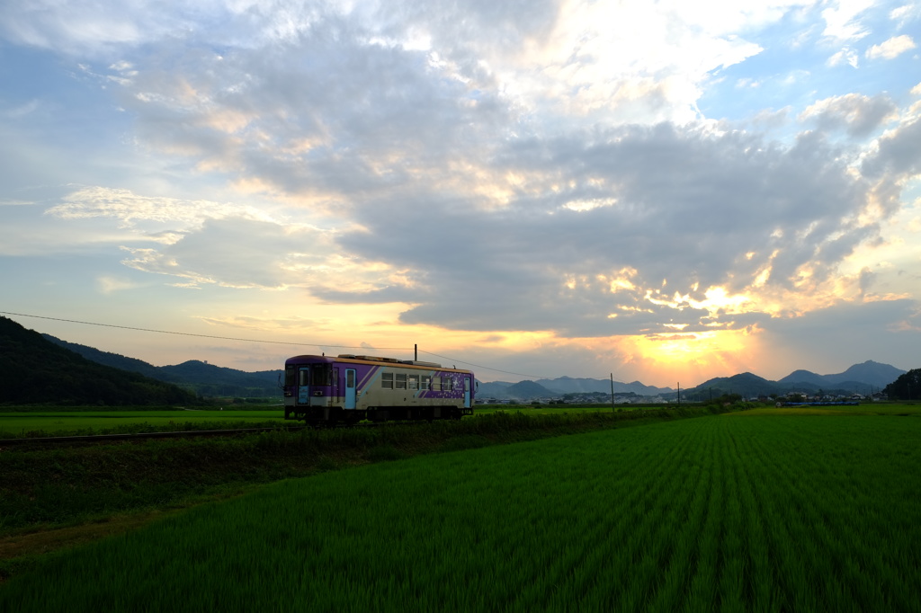夕刻をすすむ