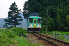 一本松をぬけて