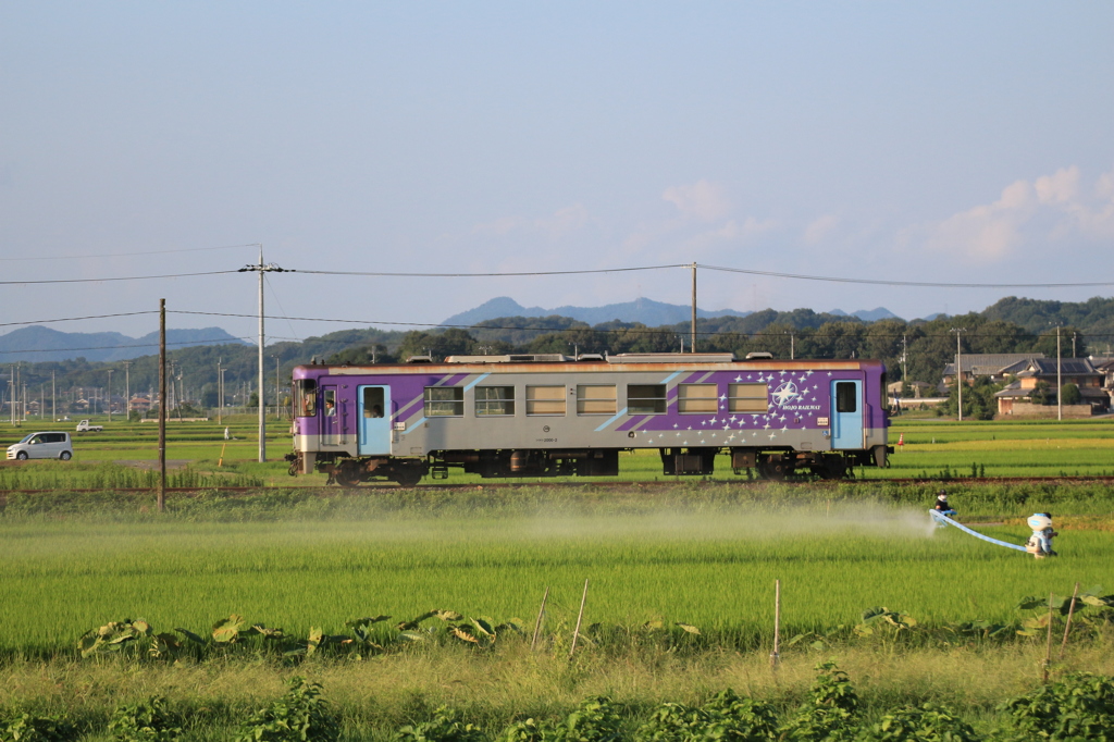 晩夏の田園を駆ける