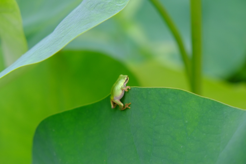 向こうの様子は・・・