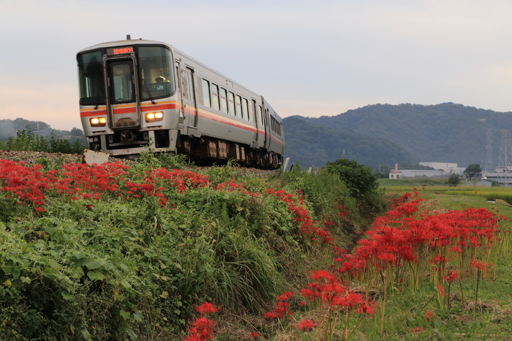 彼岸花の刻Ⅰ