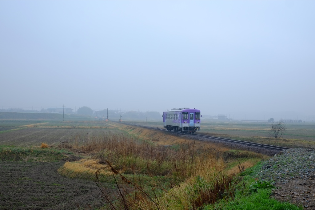 雨煙を抜けて