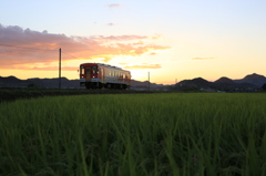 初秋の夕景を走る