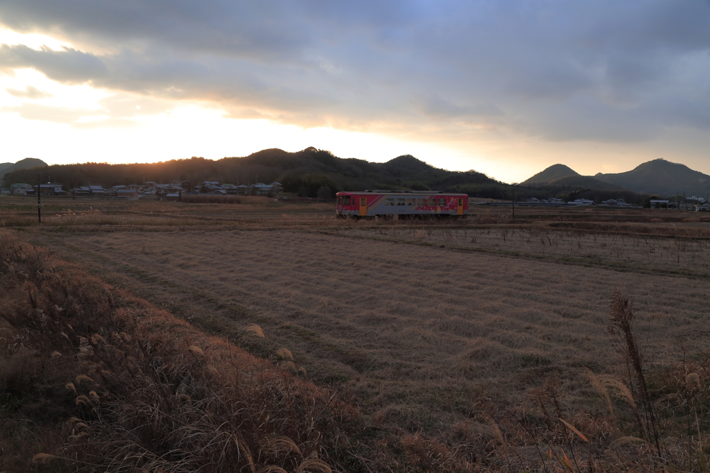 日の沈む枯れ野をいく