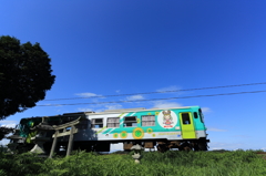 参道を横切る