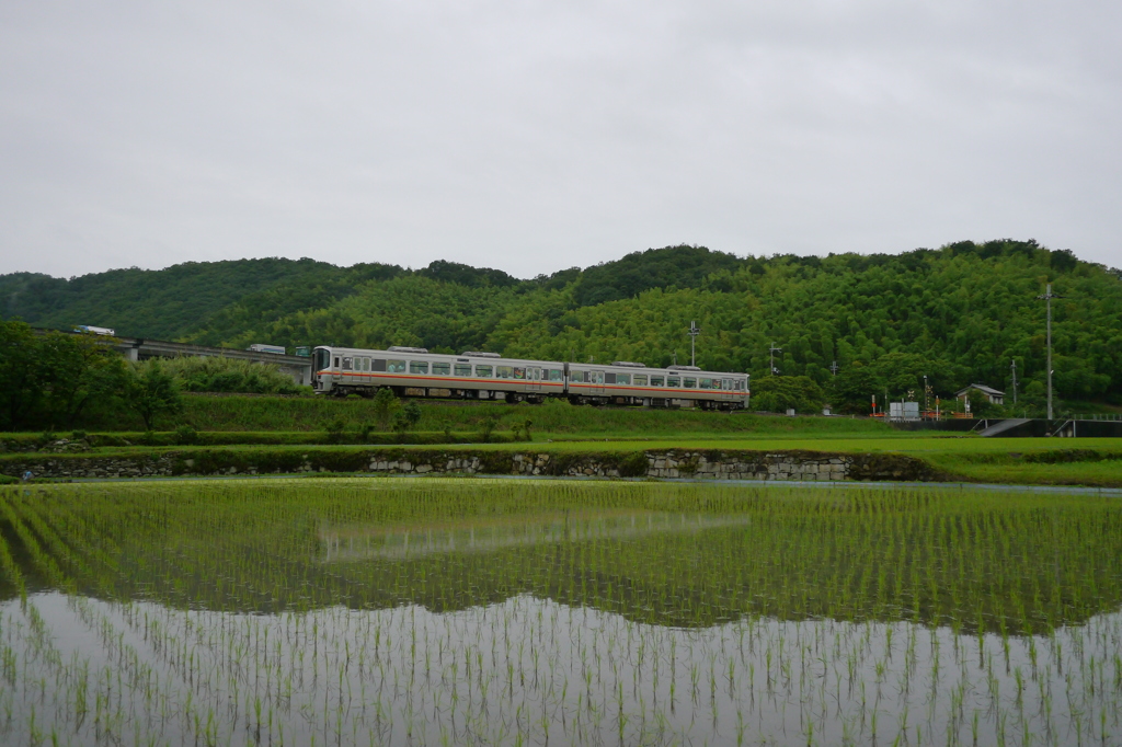 梅雨のやみ間を行く