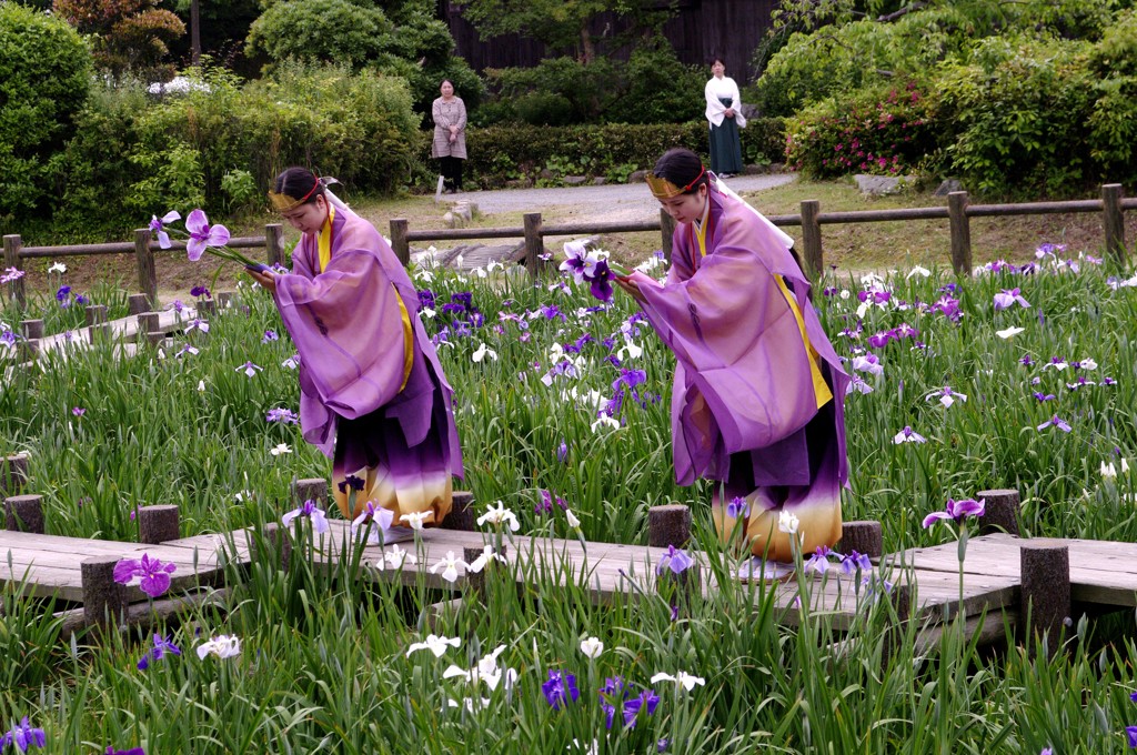 １３年　宮地嶽江戸菖蒲初刈神事 017