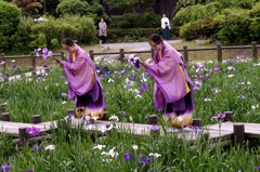 １３年　宮地嶽江戸菖蒲初刈神事 017
