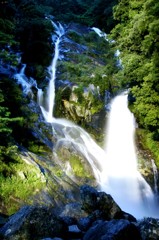 ＥＯＳ１ＤⅡ　見返りの滝