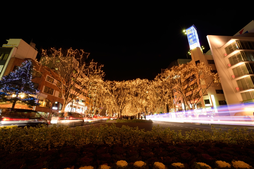 pageant of starlight