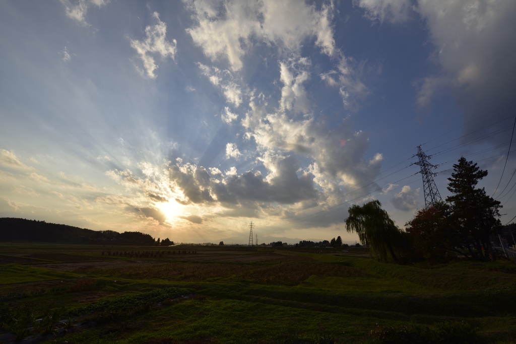 夕秋