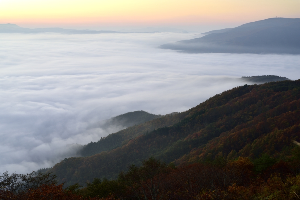 紅葉と雲海と朝焼と