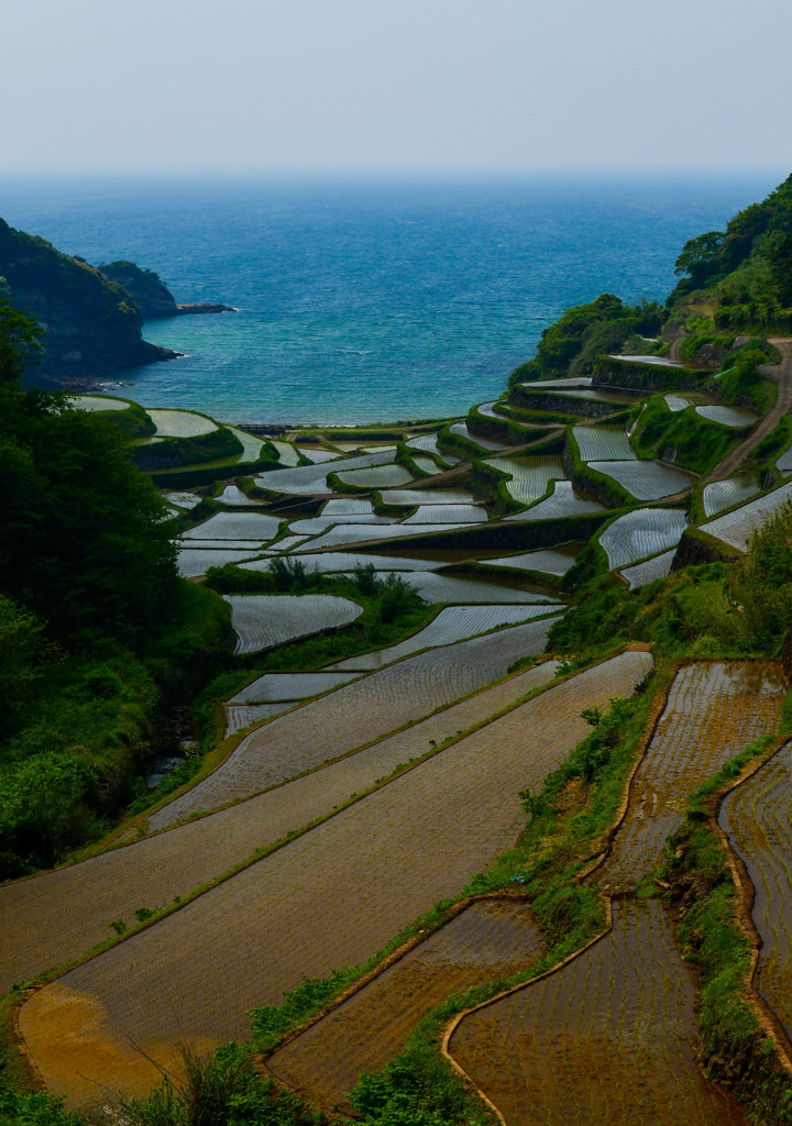 海と棚田のある風景