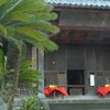 興福寺(お正月)