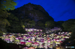 御船山つつじ谷　蒼の時