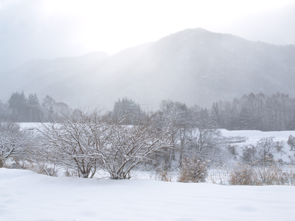 雪景色
