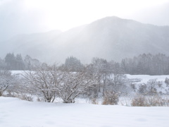 雪景色