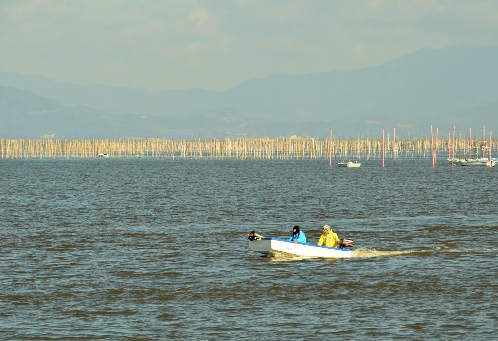 有明の海苔漁