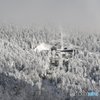 雪原と樹氷